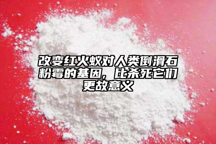 改變紅火蟻對(duì)人類倒滑石粉霉的基因, 比殺死它們更故意義