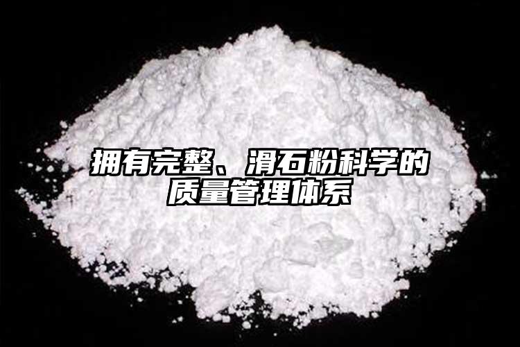 擁有完整、滑石粉科學(xué)的質(zhì)量管理體系