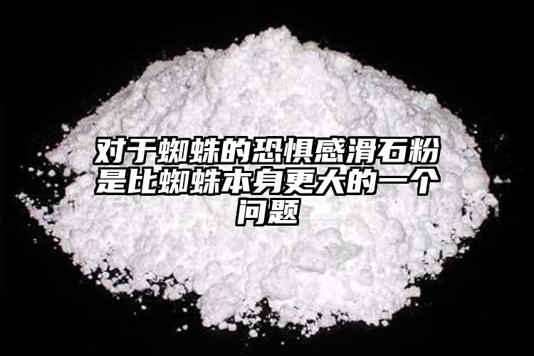 對于蜘蛛的恐懼感滑石粉是比蜘蛛本身更大的一個問題