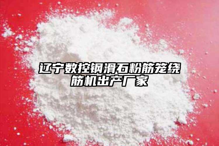 遼寧數(shù)控鋼滑石粉筋籠繞筋機出產(chǎn)廠家