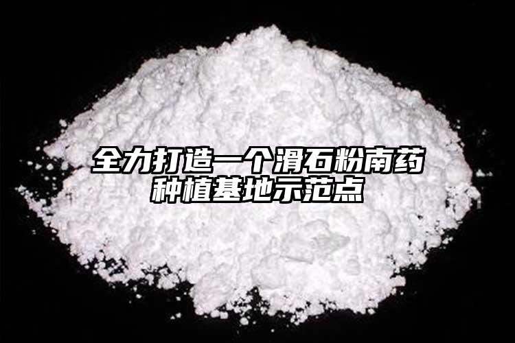 全力打造一個(gè)滑石粉南藥種植基地示范點(diǎn)